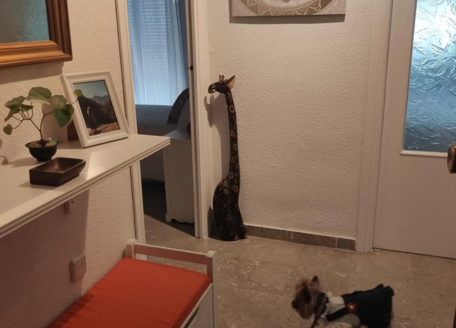 Apartamento Tropicana 1° Linea Almunecar 0*,  Spain
